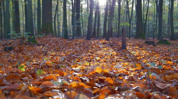 Herbstferien 2017